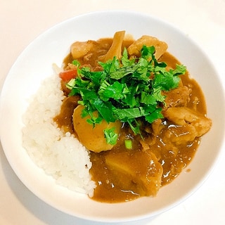 旨さ格別☆牛肉とカリフラワーのカレーライス